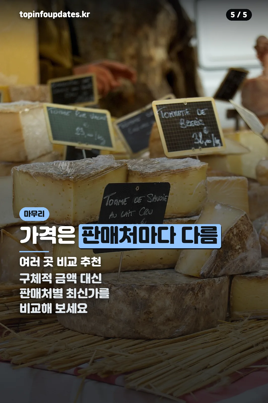 가격 비교 마무리