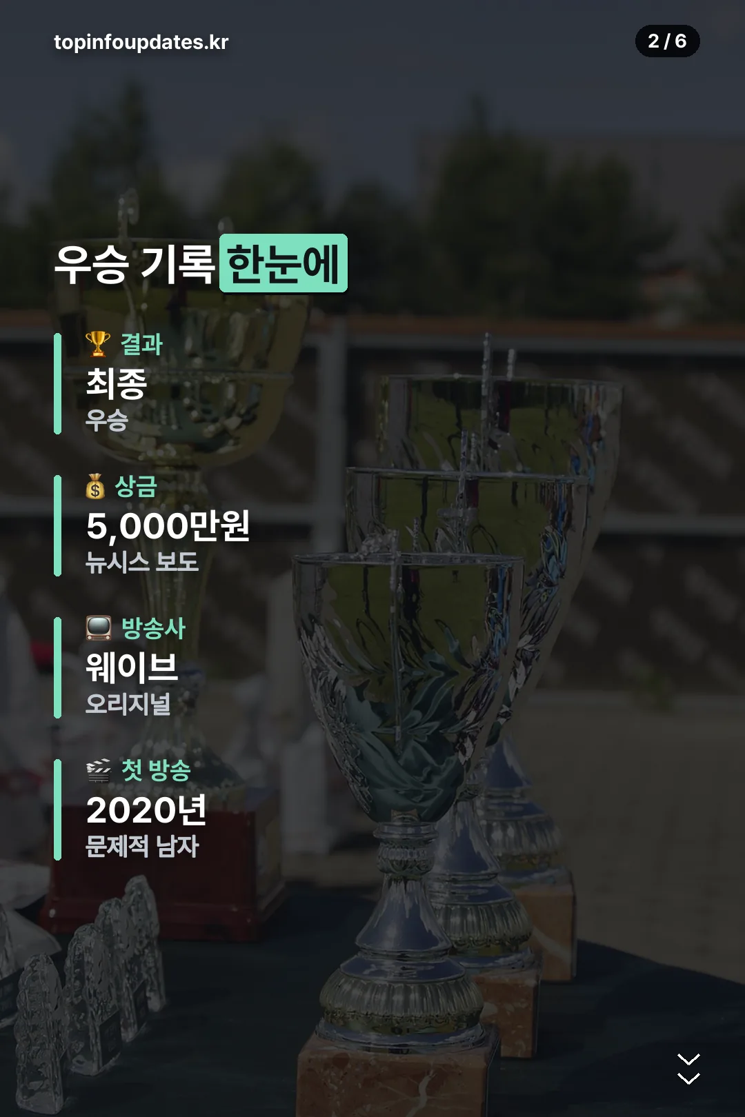 우승 기록 한눈에 보기