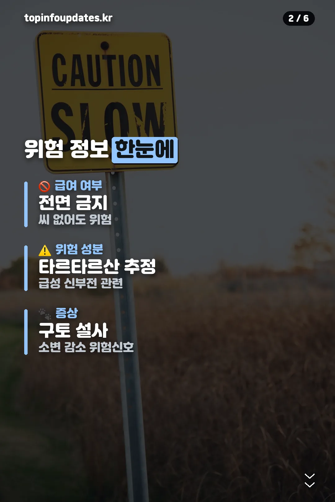 위험 정보 한눈에