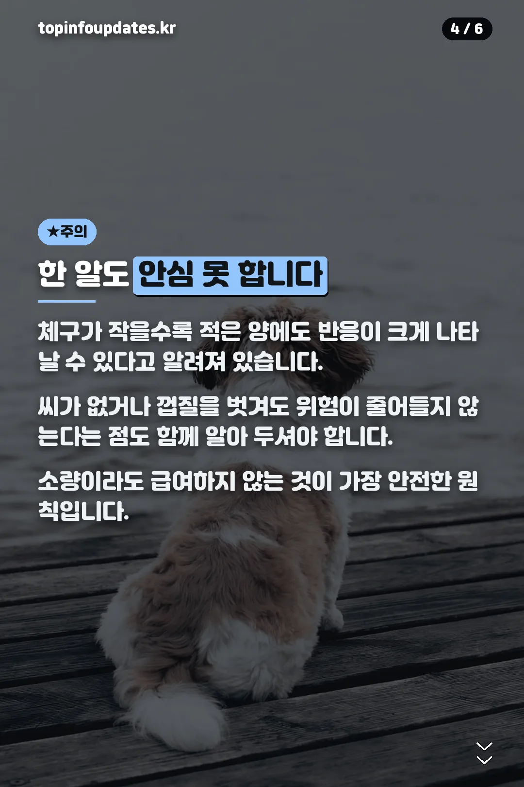 한 알도 위험 주의