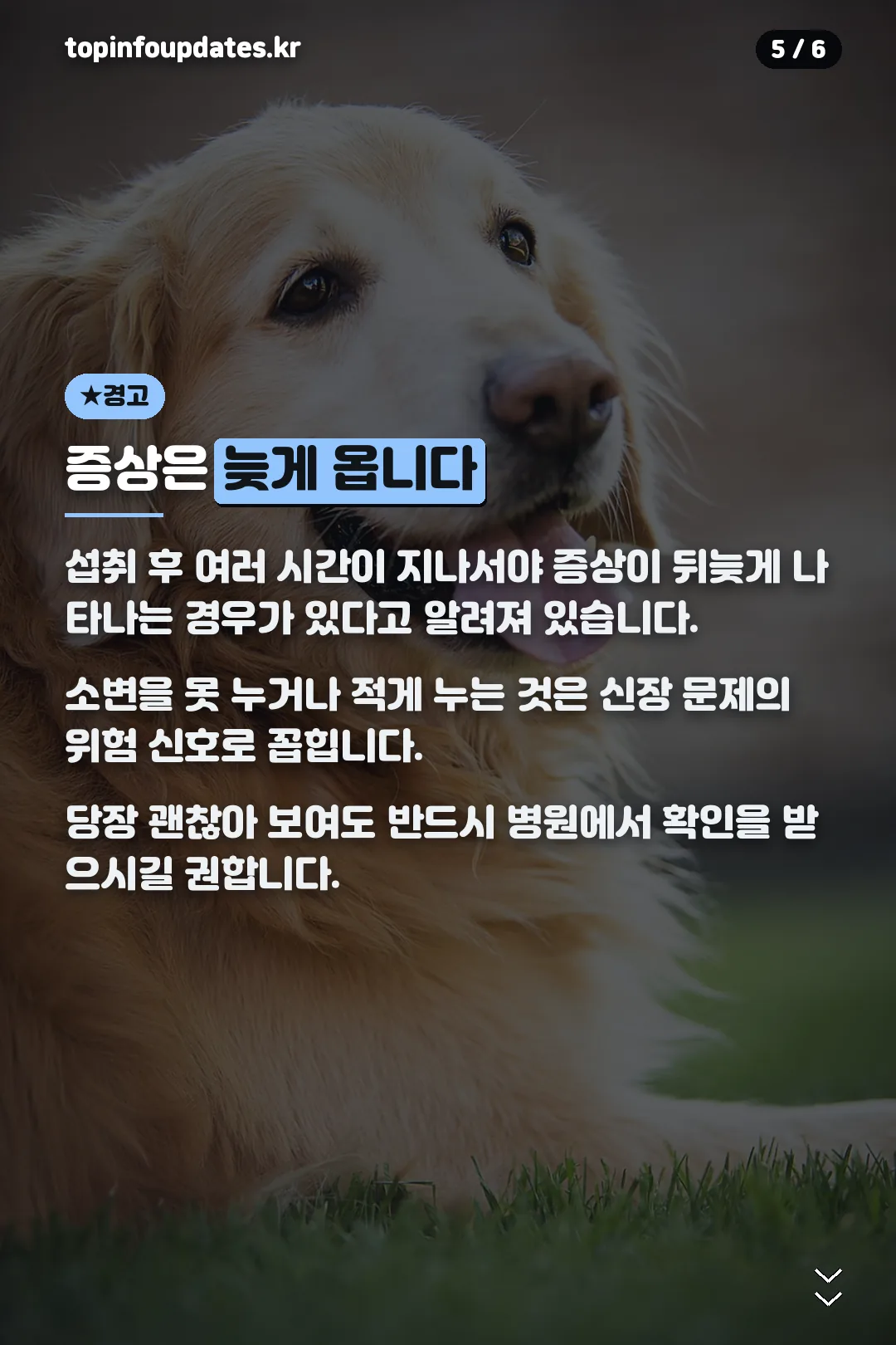 늦게 오는 증상 경고