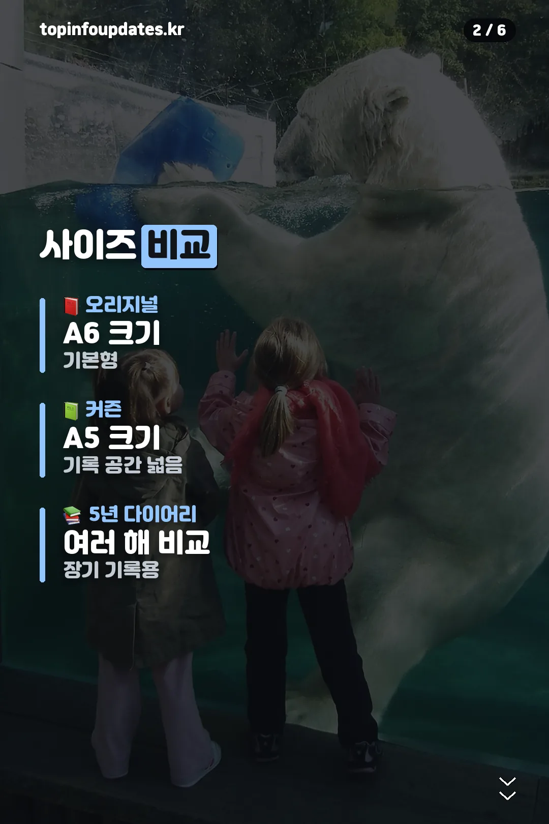 사이즈 비교