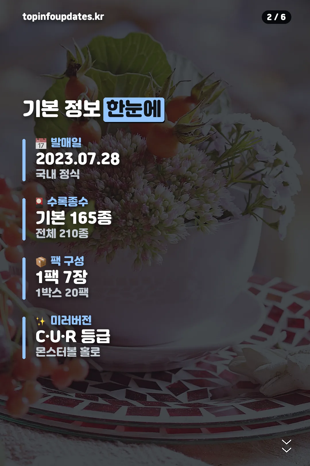 기본 정보 한눈에