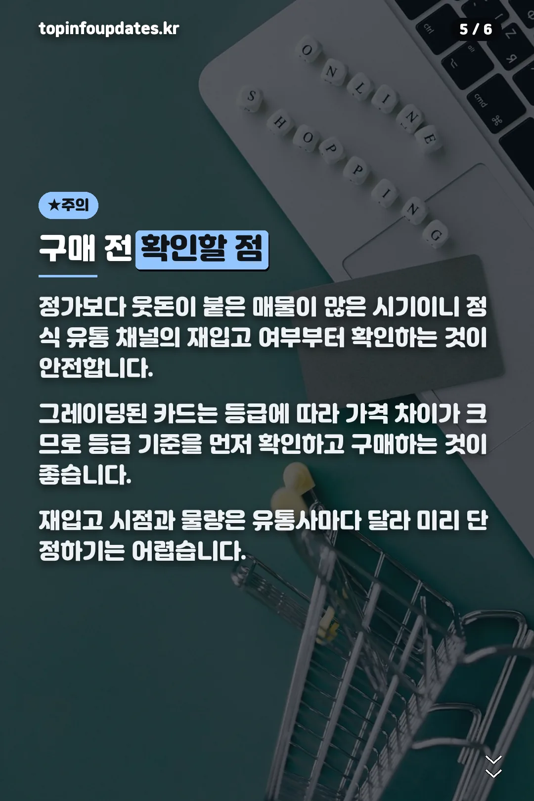구매 전 확인할 점