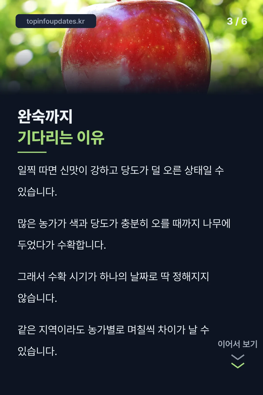 완숙을 기다리는 이유