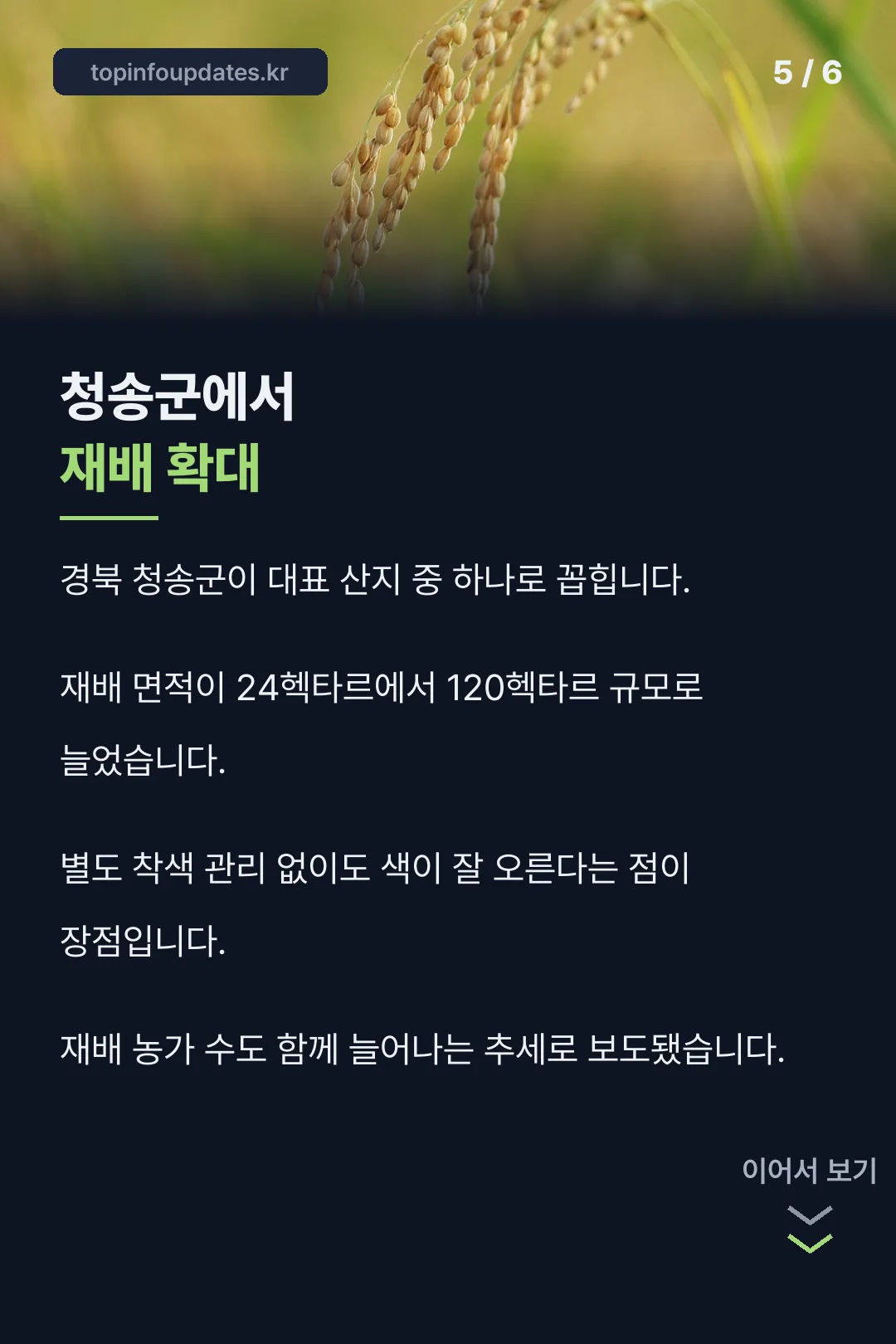 청송군 재배 확대