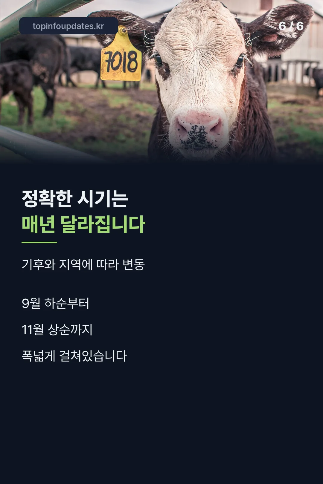 마무리 카드