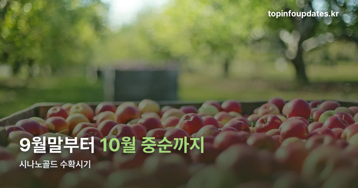 시나노골드 수확시기 정리 썸네일