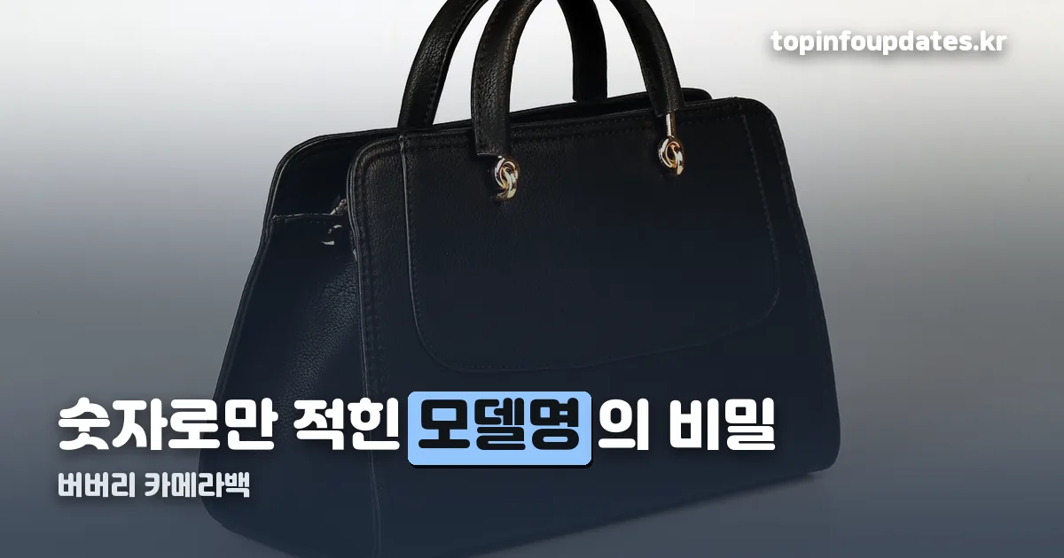 버버리 카메라백 정리 썸네일