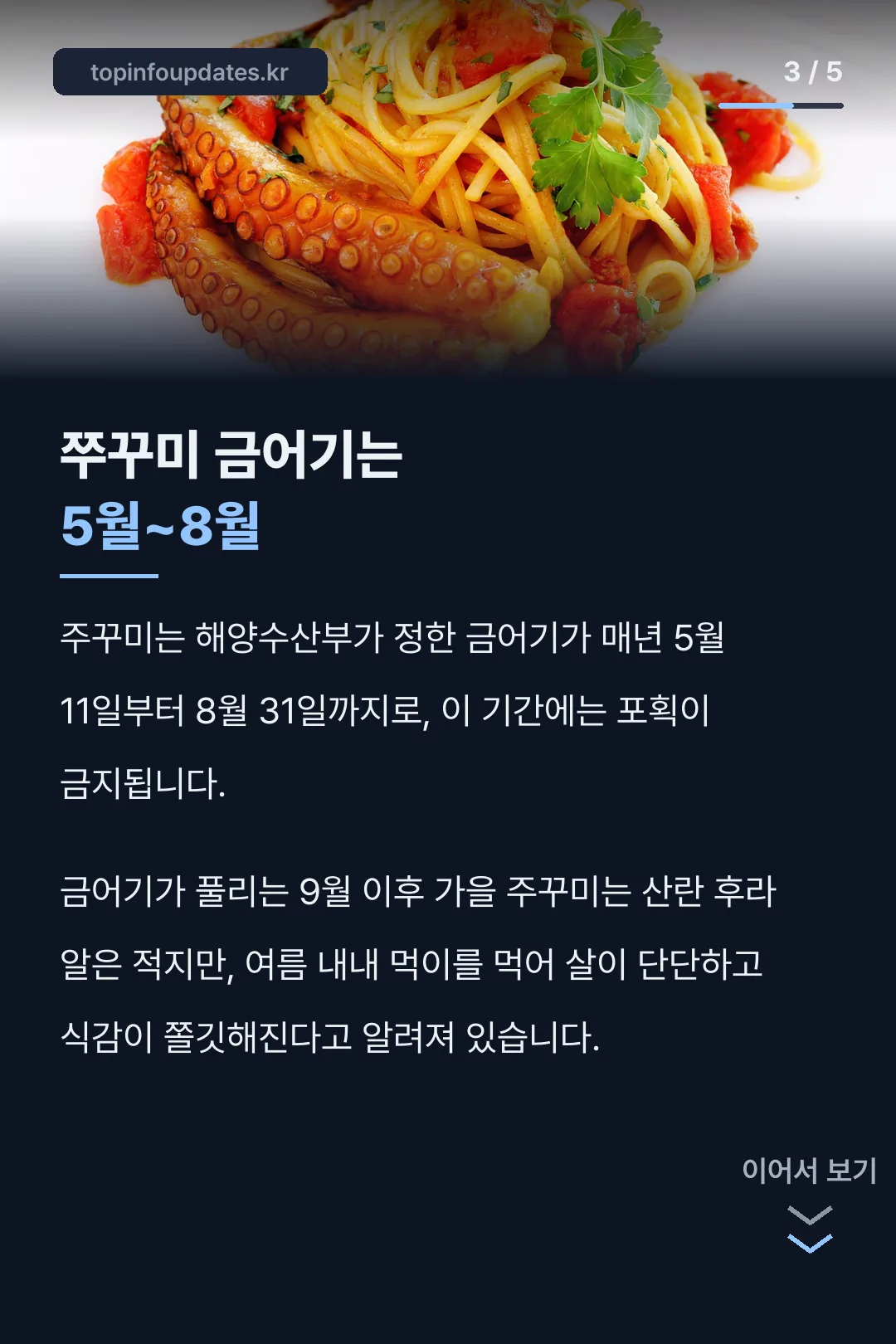 쭈꾸미 금어기와 가을 식감