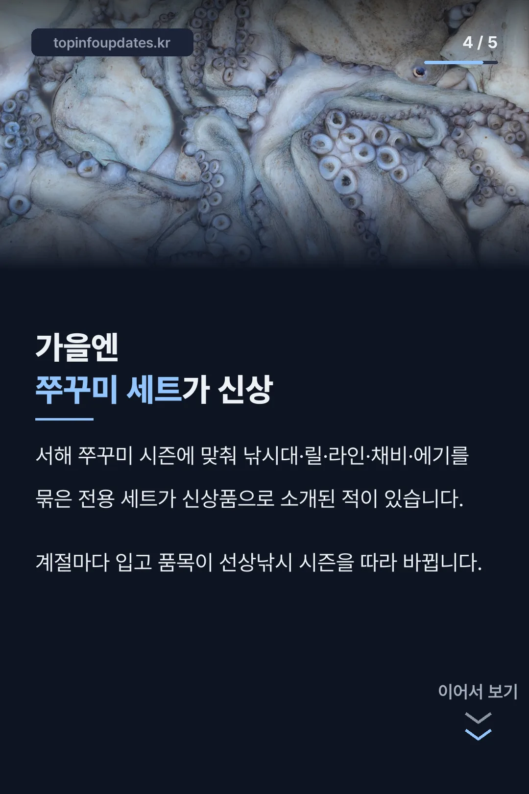 가을 쭈꾸미 세트 소개