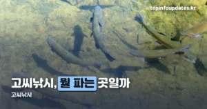 고씨낚시, 어디서 뭘 파는 곳일까 — 위치와 품목 정리