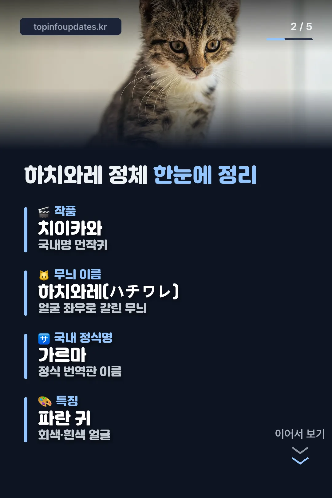 하치와레 정체 한눈에