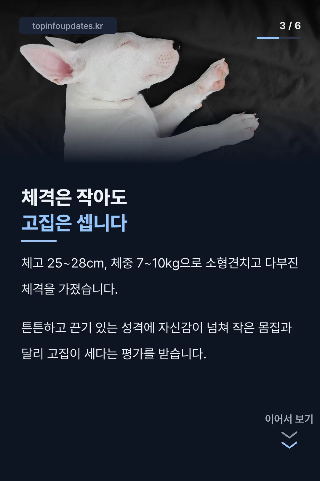 작은 체격에 센 고집