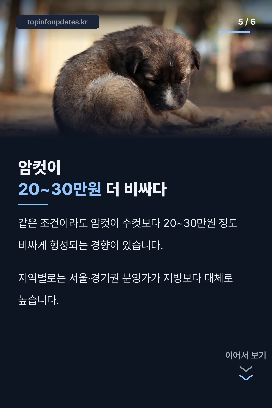 암컷 분양가 차이