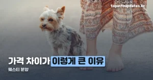 웨스티 분양 — 가격대와 성격, 분양 전 확인할 것