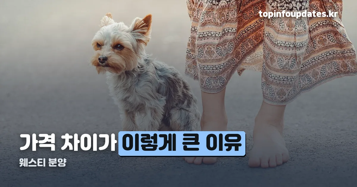 웨스티 분양 정리 썸네일